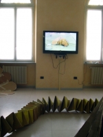 132_w2001-12-31-230000-222.jpg