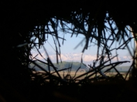 video still