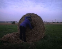 video still