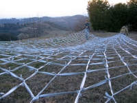 123_webalbugnano.jpg