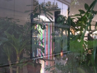 exhibition view
