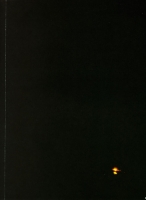 76_fin-7030.jpg